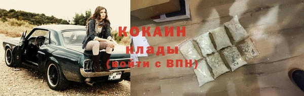 индика Белокуриха