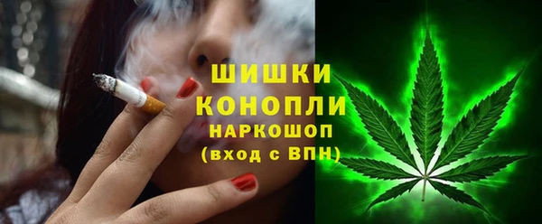 индика Белокуриха