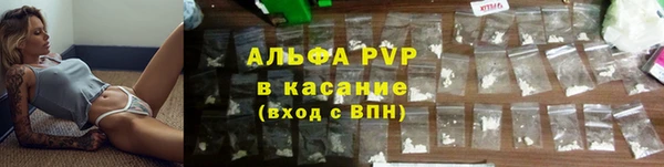 индика Белокуриха
