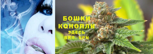 молекула духа Богородск