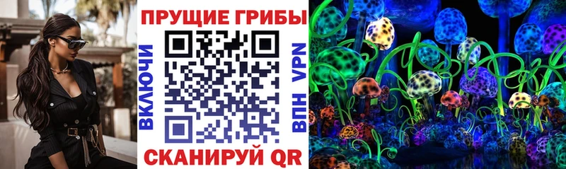 Псилоцибиновые грибы Magic Shrooms  купить закладку  Ильский 